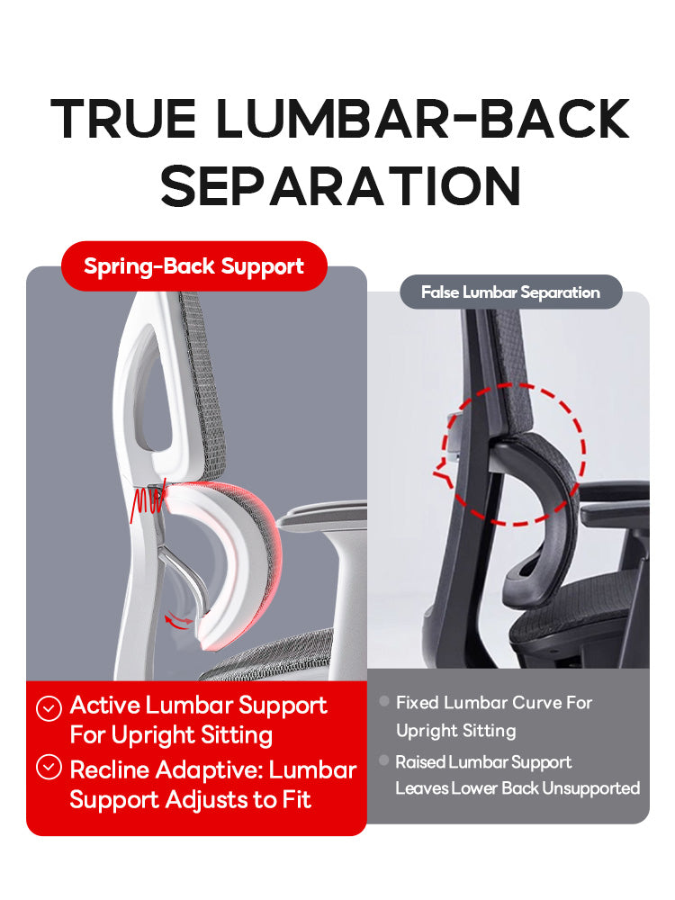 Xpanse W203 Ergonomic Chair