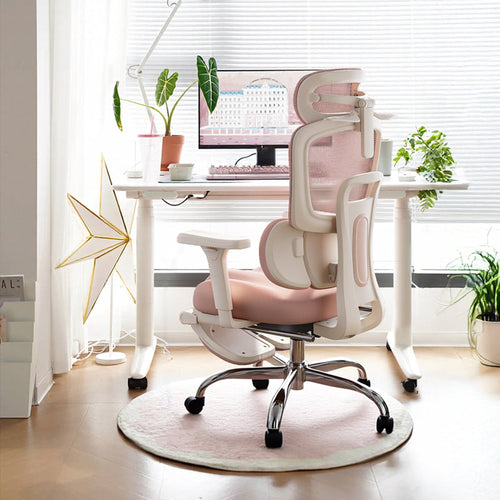XPANLUX S320 Ergonomic Chair