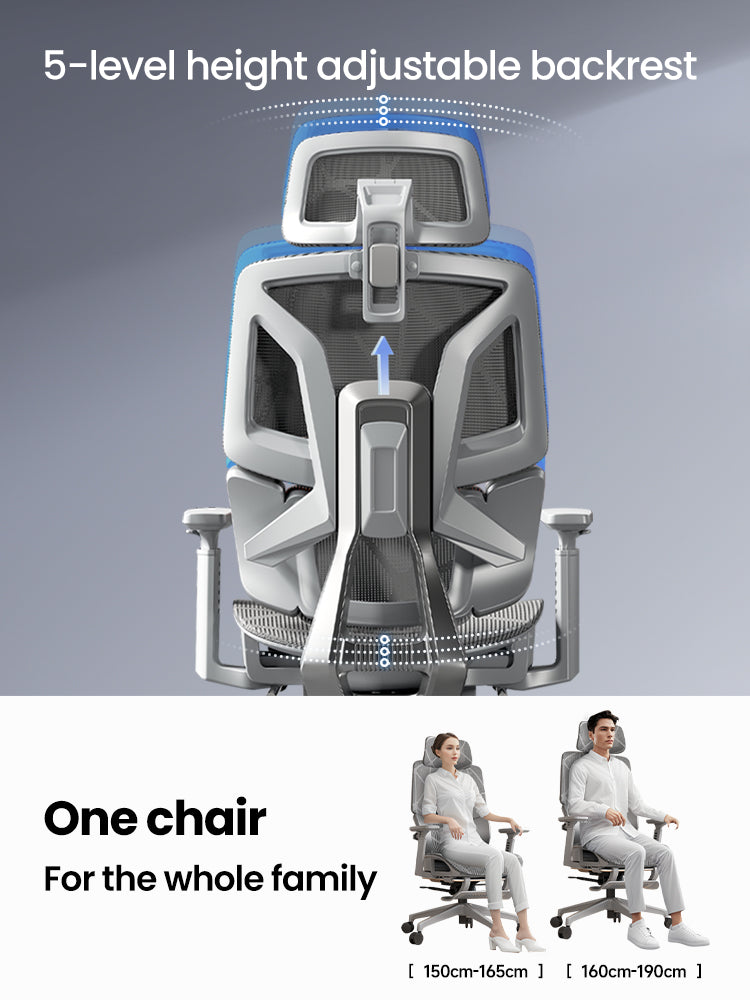 Xpanse LS999 Ergonomic Chair