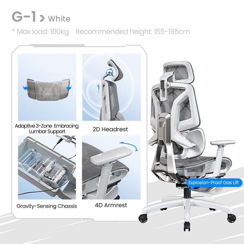 Xpanse LS999 Ergonomic Chair